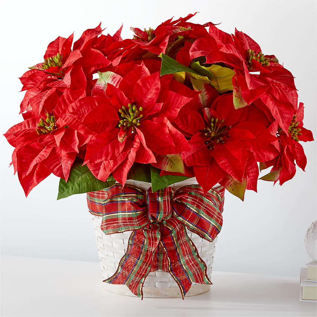 Happiest Holidays Poinsettia – Meramec Florist, Steelville MO