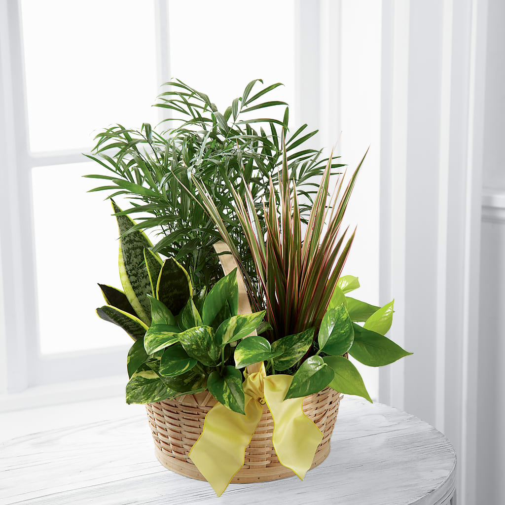 French Garden – Meramec Florist, Steelville MO