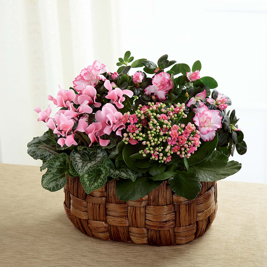 Pink Assortment – Meramec Florist, Steelville MO