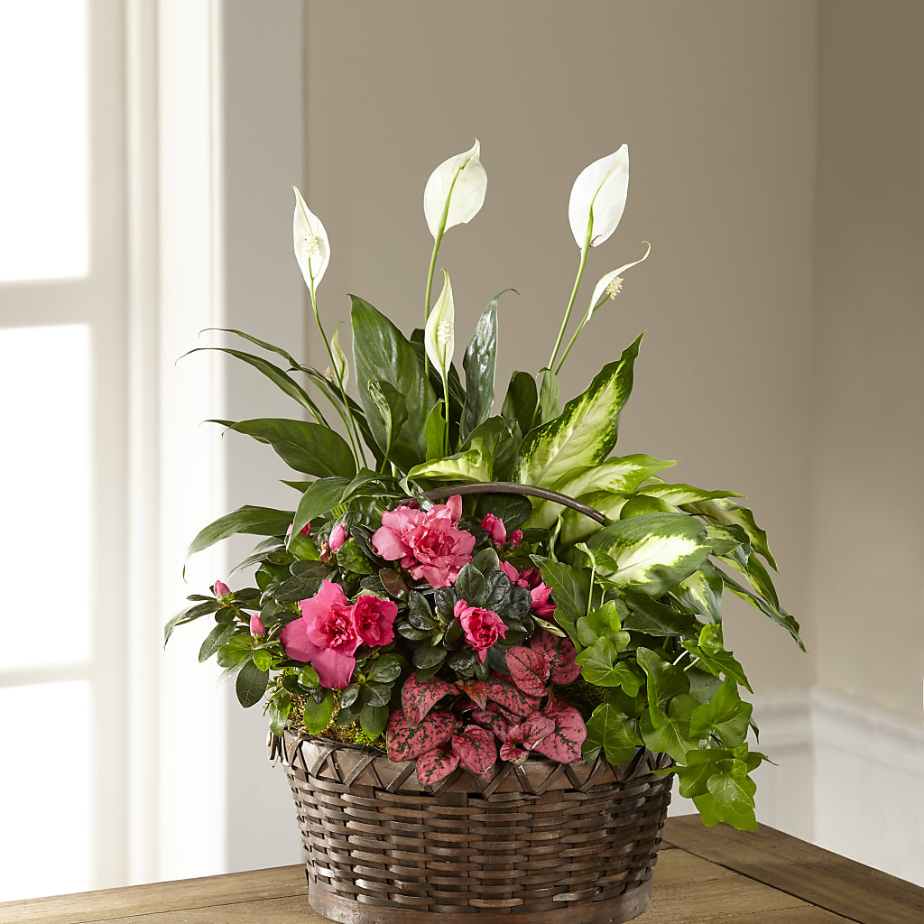 Dream in Pink Dishgarden – Meramec Florist, Steelville MO