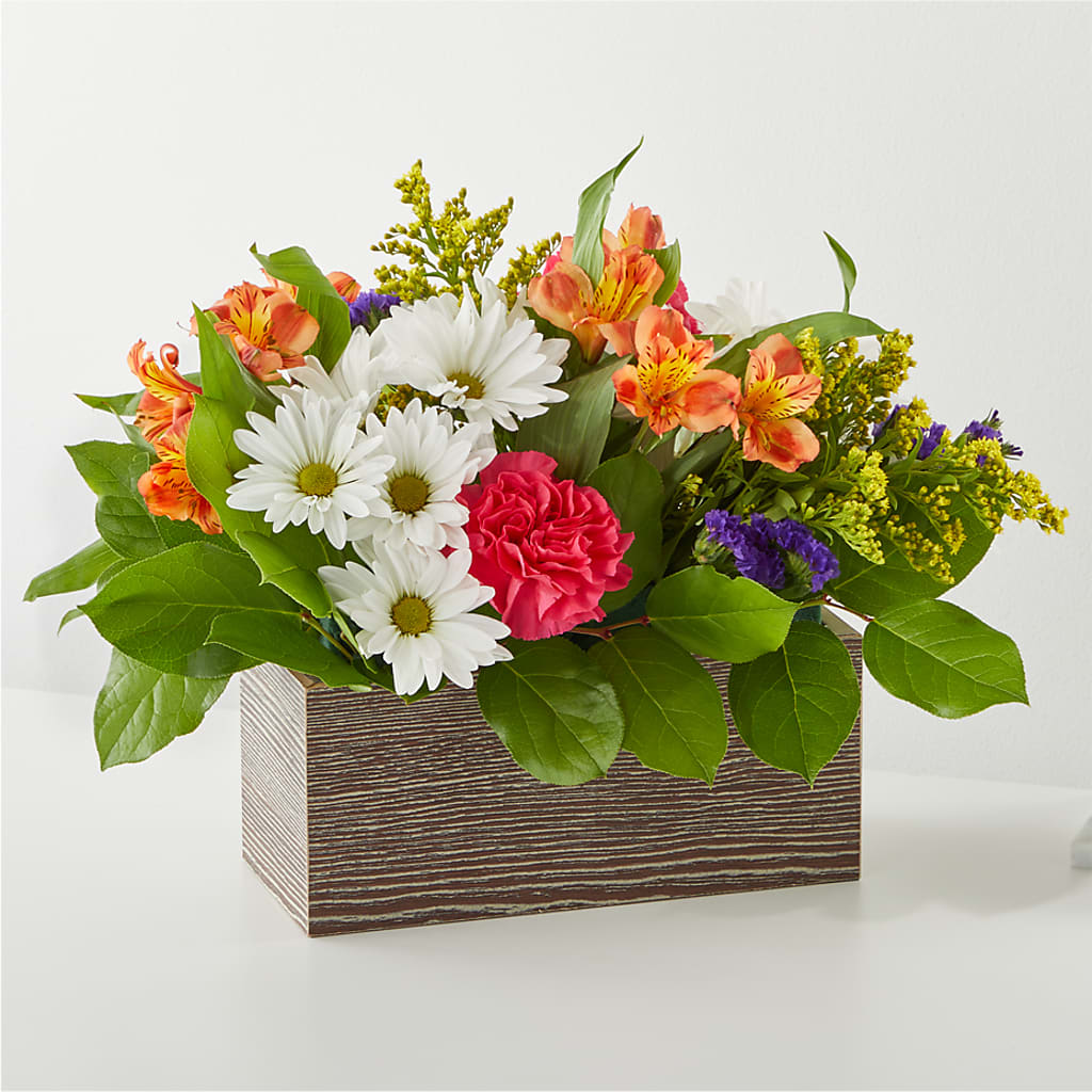 Oopsie Daisy Box Bouquet – Meramec Florist, Steelville MO