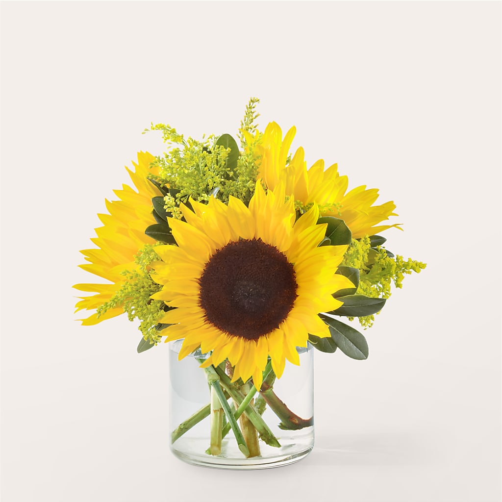Beaming Sunflower Bouquet – Meramec Florist, Steelville MO