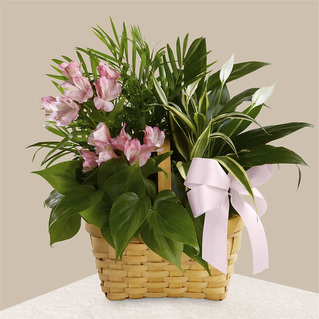 Living Spirit Dishgarden – Meramec Florist, Steelville MO