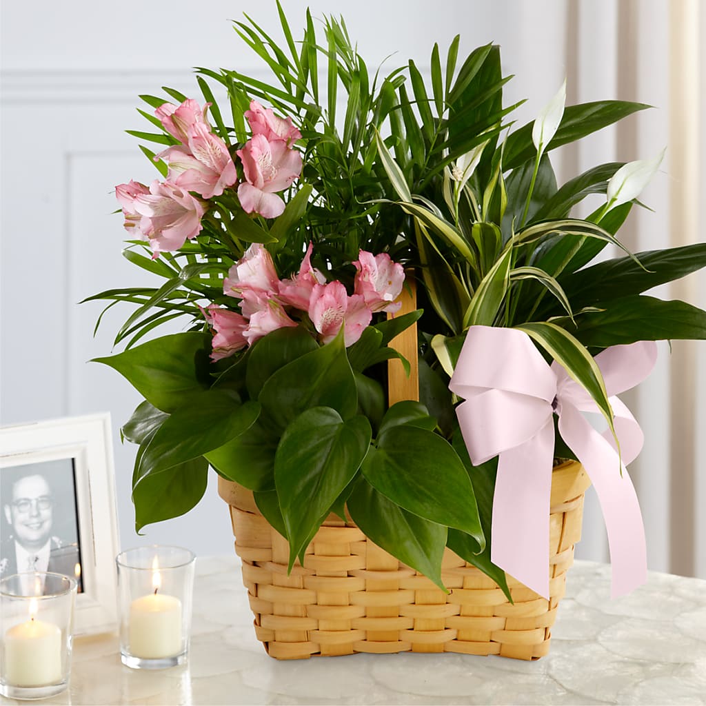 Living Spirit Dishgarden – Meramec Florist, Steelville MO