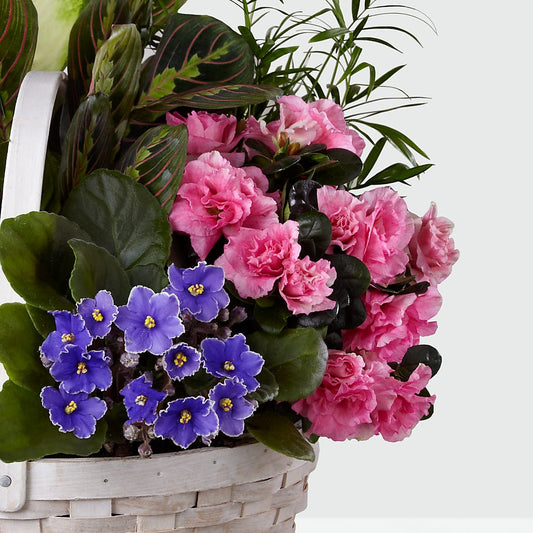 Peaceful Garden Planter – Meramec Florist, Steelville MO