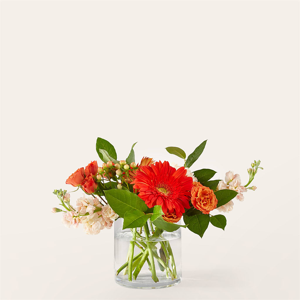 Paloma Please Bouquet – Meramec Florist, Steelville MO