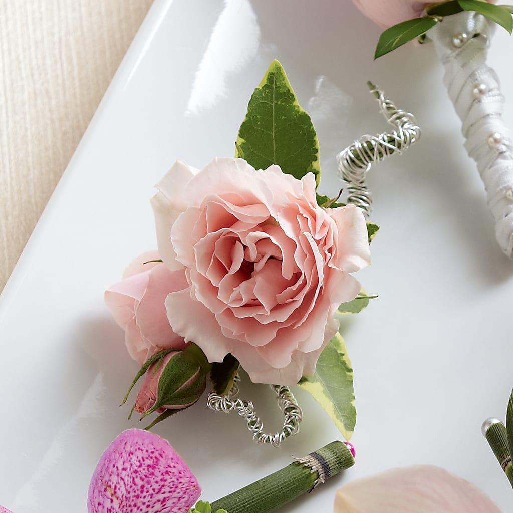 Pink Spray Rose Boutonniere – Meramec Florist, Steelville MO