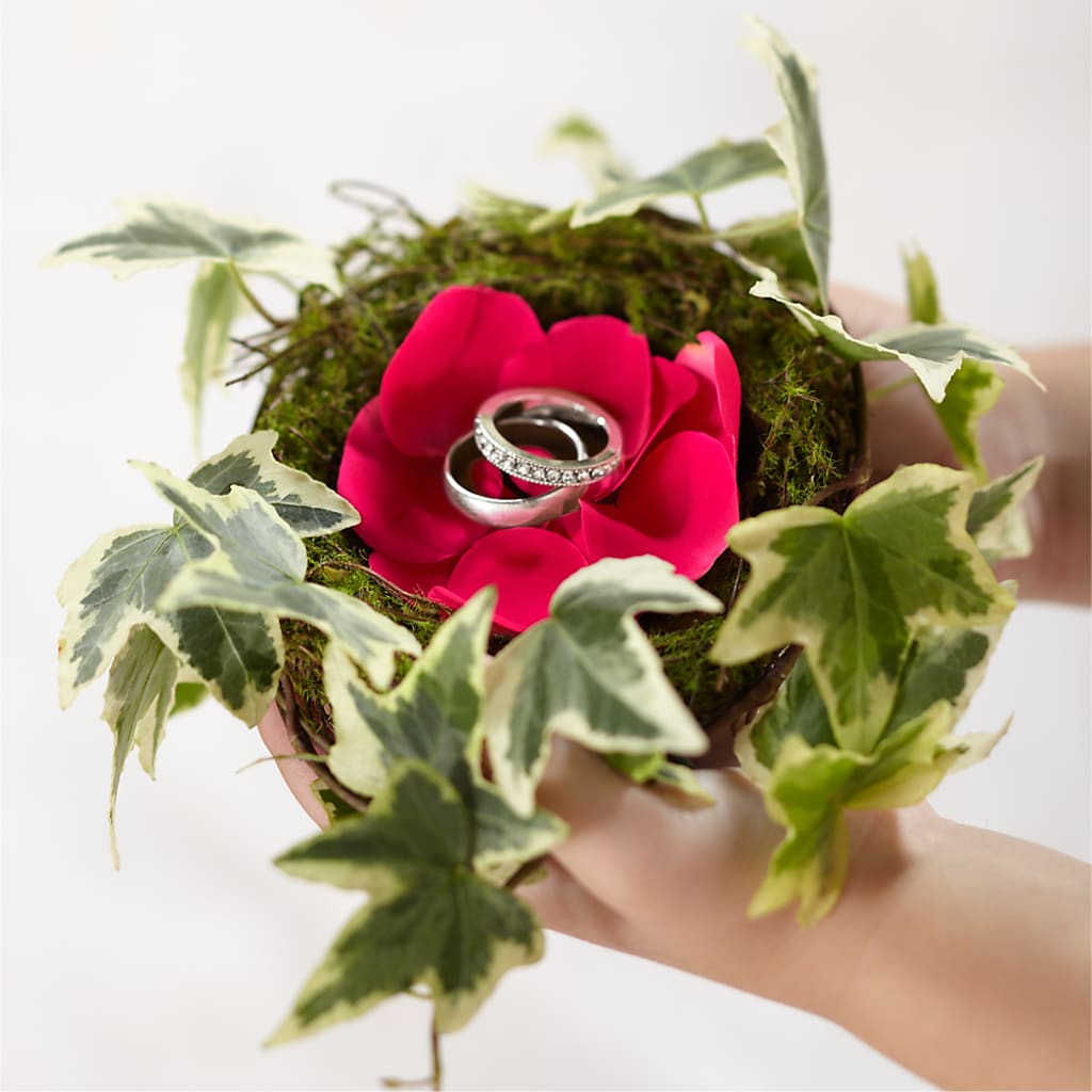 Lila Rose Ring Nest – Meramec Florist, Steelville MO