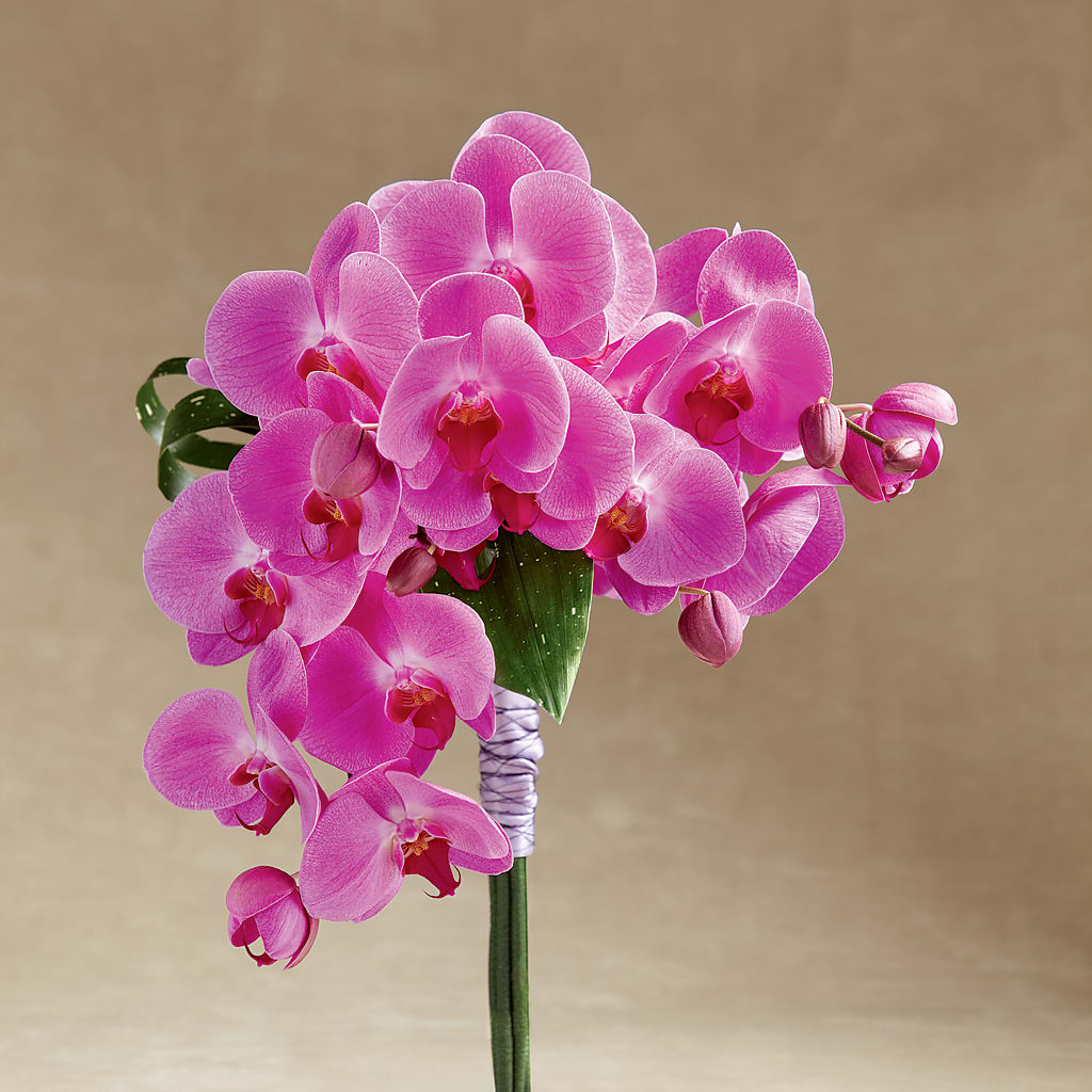 Glorious Bouquet – Meramec Florist, Steelville MO