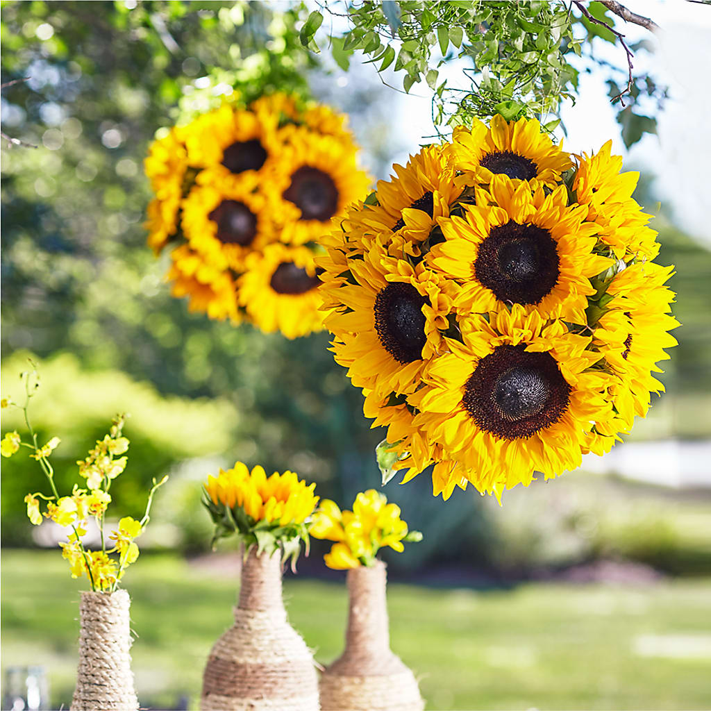 Sublime Garden Hanging Arrangement – Meramec Florist, Steelville MO