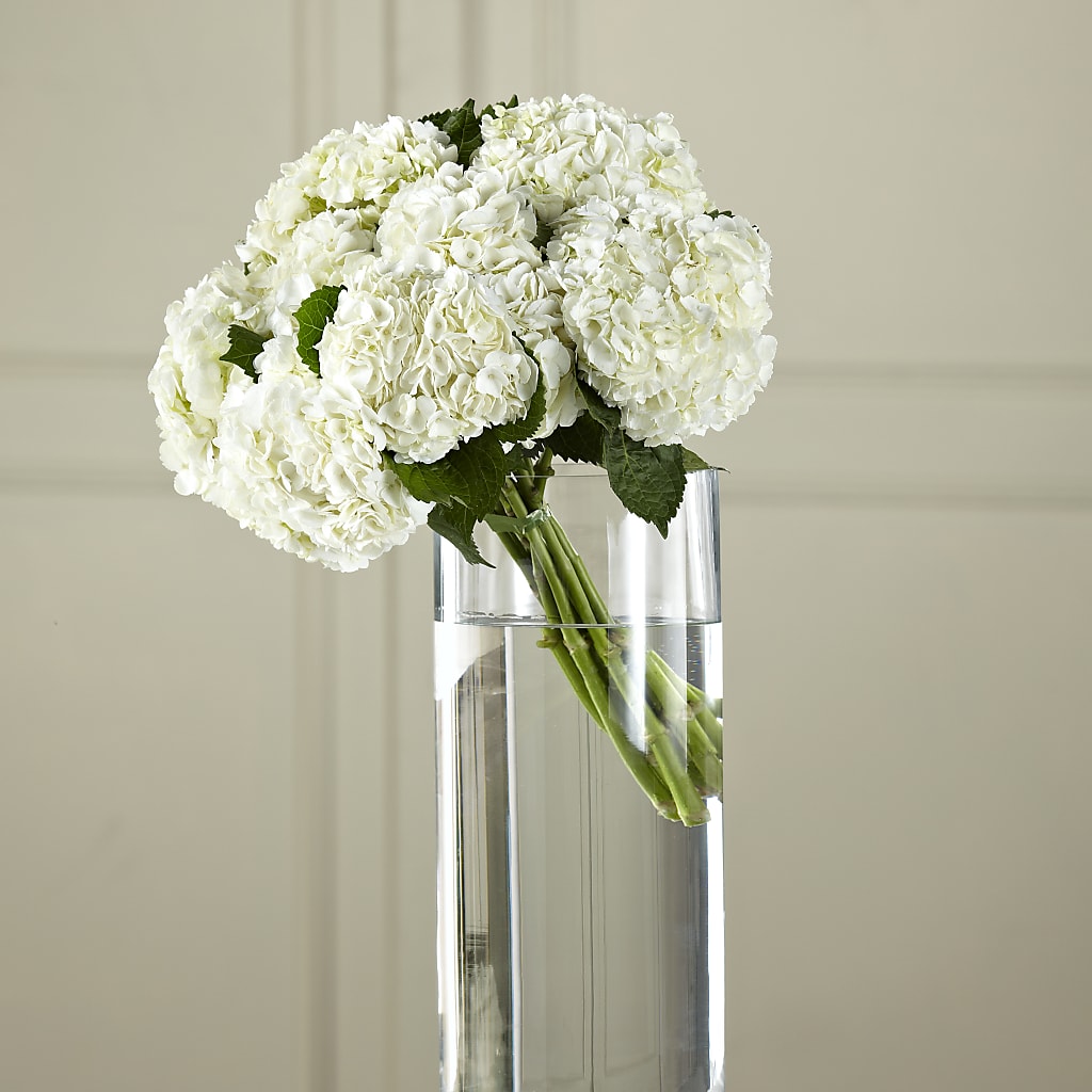 White Hydrangea Hand-Tied Bouquet – Meramec Florist, Steelville MO