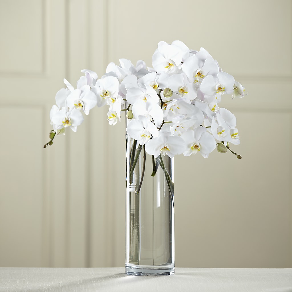 White Phalaenopsis Bouquet – Meramec Florist, Steelville MO