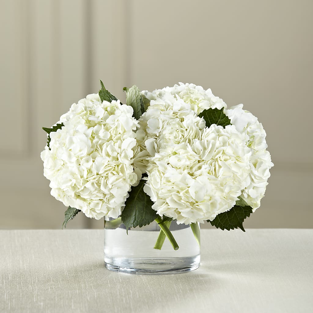 White Hydrangea Bouquet – Meramec Florist, Steelville MO