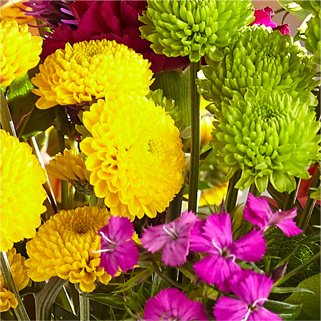 Bold & Bright – A Florist Original –  Meramec Florist, Steelville MO