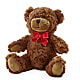 Adorable Plush Bear –  Meramec Florist, Steelville MO