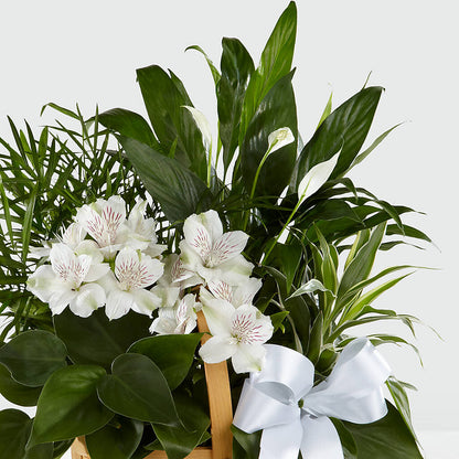 Peace & Serenity Dishgarden –  Meramec Florist, Steelville MO