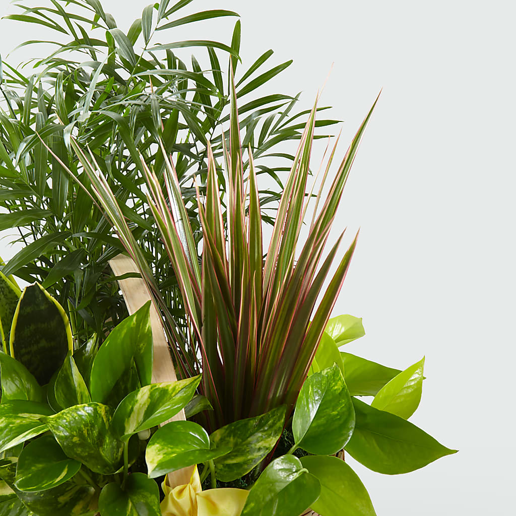 French Garden –  Meramec Florist, Steelville MO