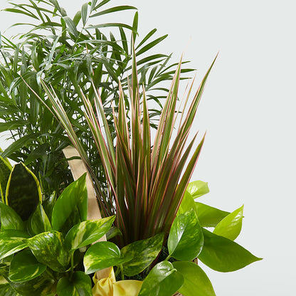 French Garden –  Meramec Florist, Steelville MO