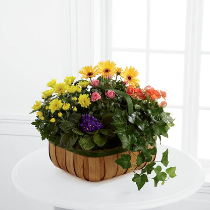 Gentle Blossoms Basket –  Meramec Florist, Steelville MO