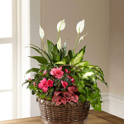Dream in Pink Dishgarden –  Meramec Florist, Steelville MO