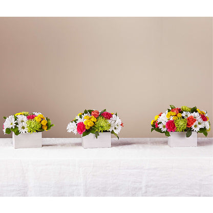 Sorbet Bouquet –  Meramec Florist, Steelville MO
