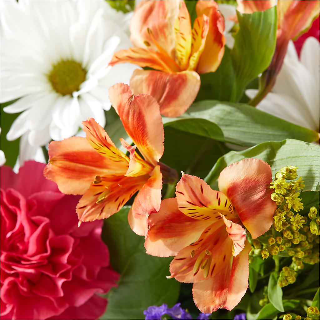 Oopsie Daisy Box Bouquet –  Meramec Florist, Steelville MO