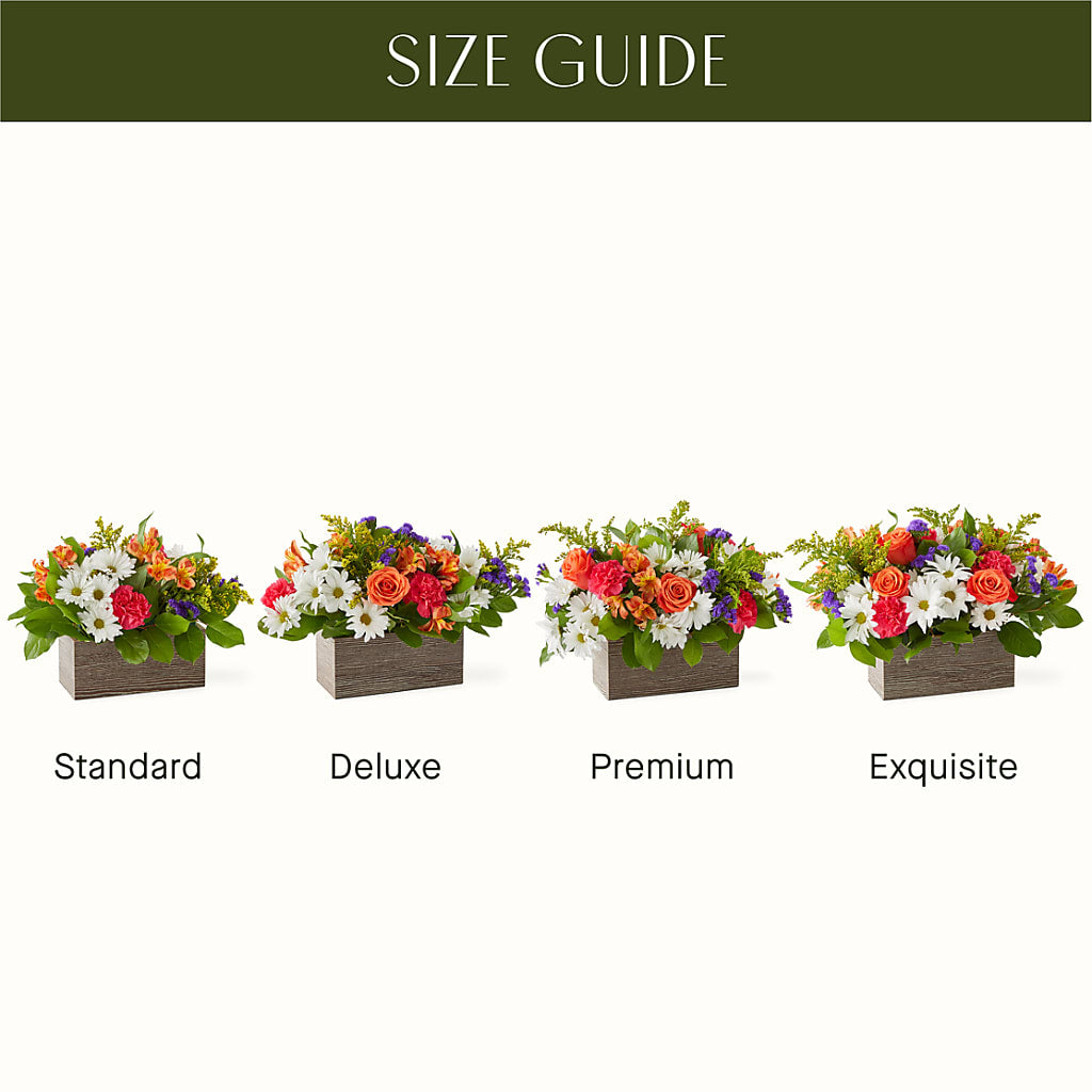 Oopsie Daisy Box Bouquet –  Meramec Florist, Steelville MO