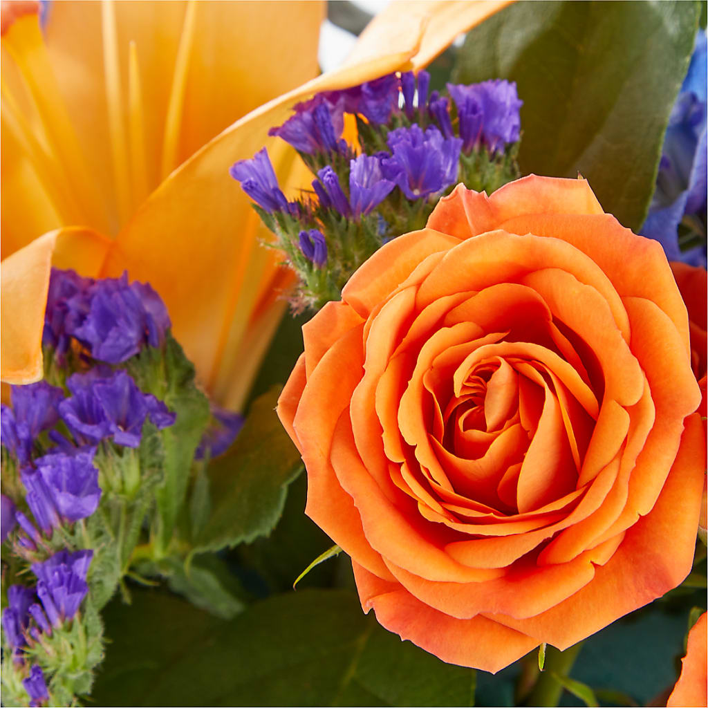 Radiant Citrus Box Bouquet –  Meramec Florist, Steelville MO