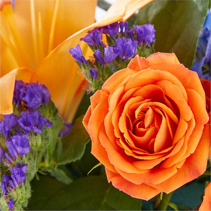 Radiant Citrus Box Bouquet –  Meramec Florist, Steelville MO