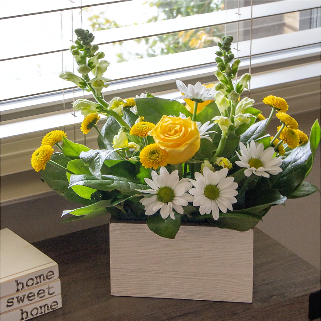 Sun Salutation Box Bouquet –  Meramec Florist, Steelville MO