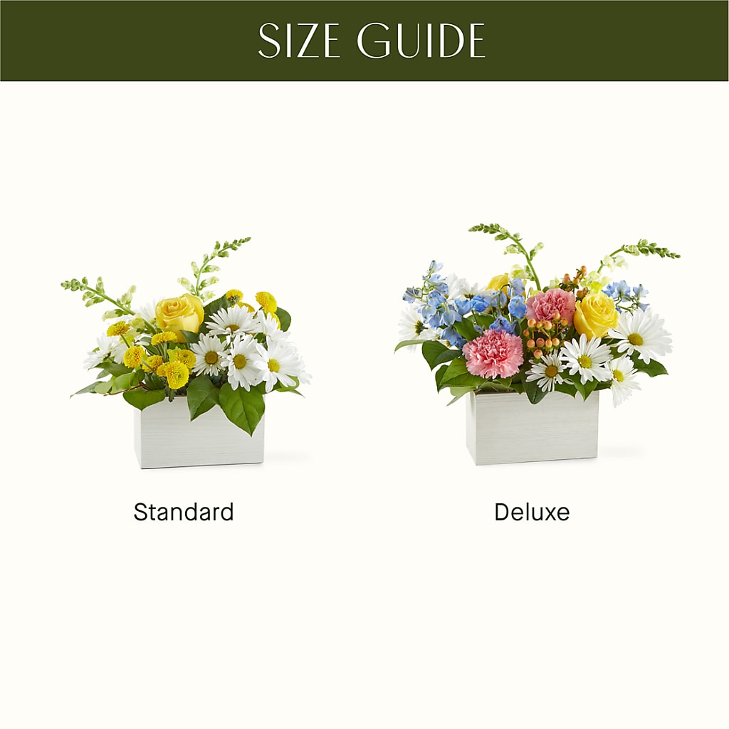 Sun Salutation Box Bouquet –  Meramec Florist, Steelville MO