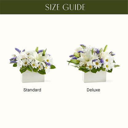 Beyond Blue Box Bouquet –  Meramec Florist, Steelville MO