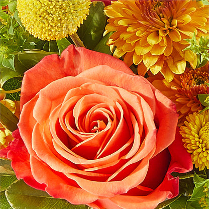 Gourdgeous Pumpkin –  Meramec Florist, Steelville MO