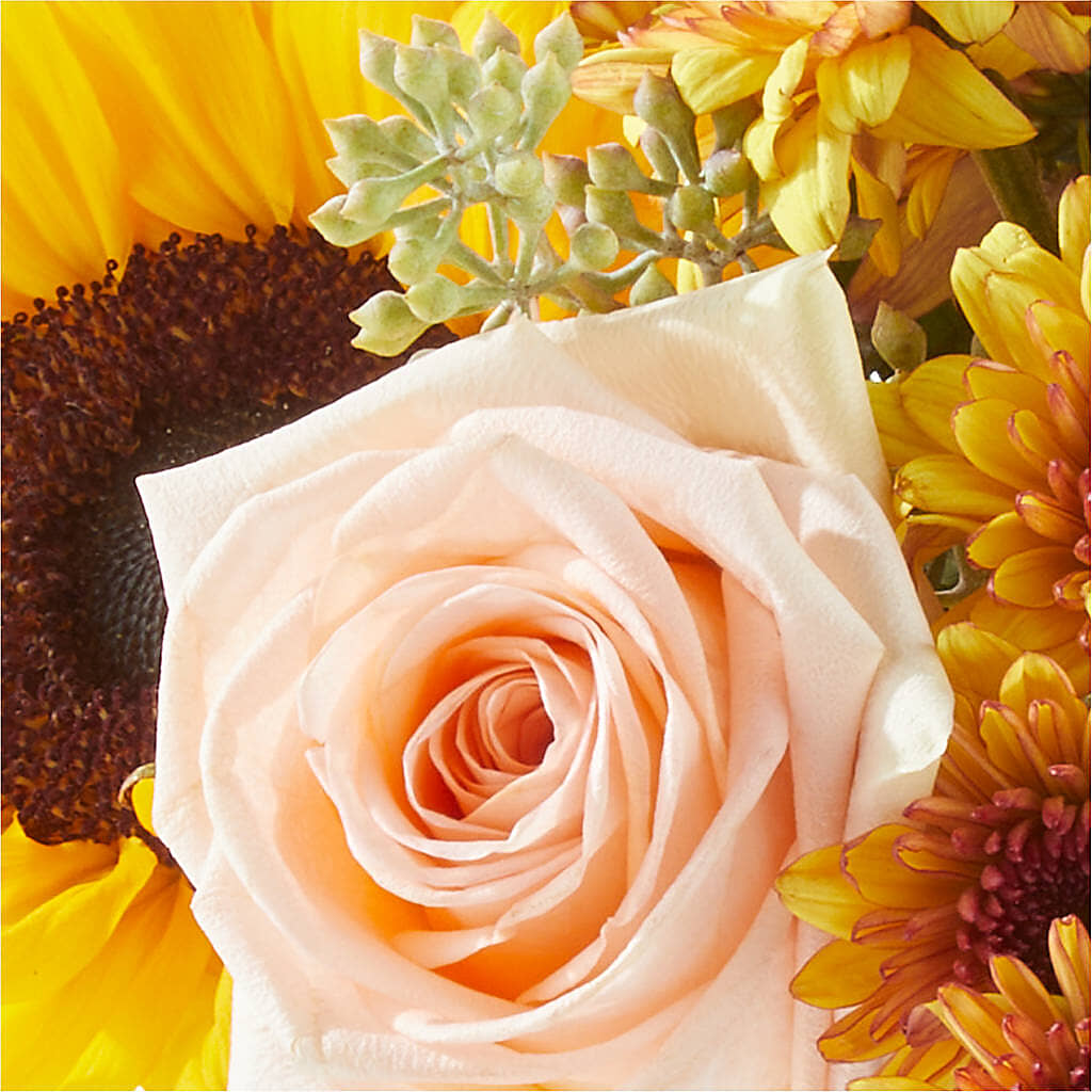 Pumpkin to Talk About Bouquet –  Meramec Florist, Steelville MO