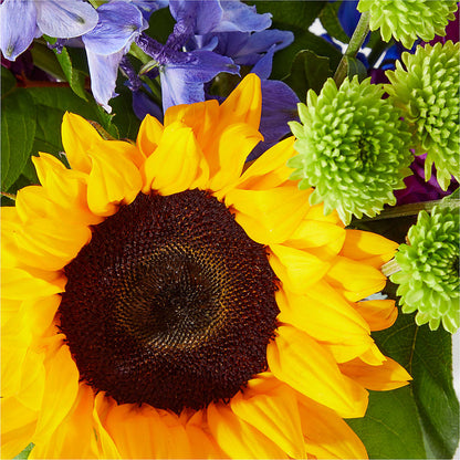 Catching Rays Bouquet –  Meramec Florist, Steelville MO