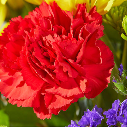Brighter Days Bouquet –  Meramec Florist, Steelville MO