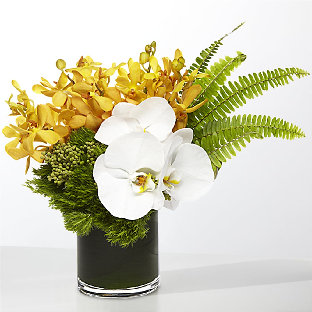The Tropics –  Meramec Florist, Steelville MO