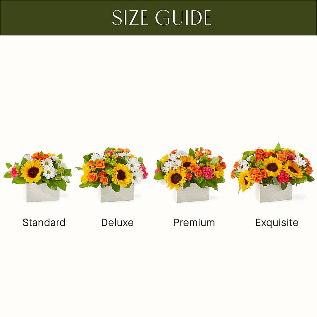 Sun-drenched Blooms Box Bouquet –  Meramec Florist, Steelville MO