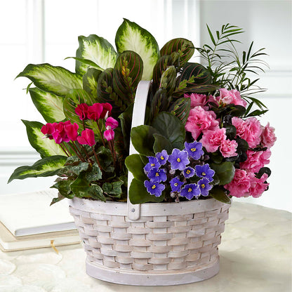 Peaceful Garden Planter –  Meramec Florist, Steelville MO