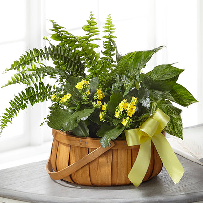 Always Dear Dishgarden –  Meramec Florist, Steelville MO