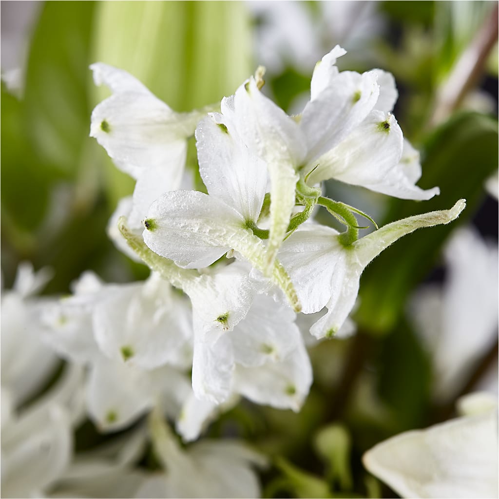 Classic Ivory – A Florist Original –  Meramec Florist, Steelville MO