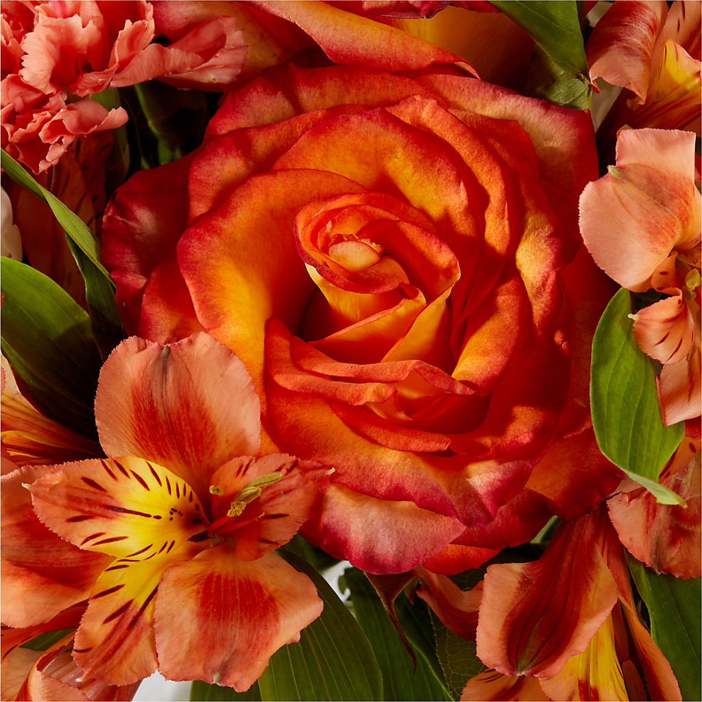 Apricot Glow Bouquet –  Meramec Florist, Steelville MO