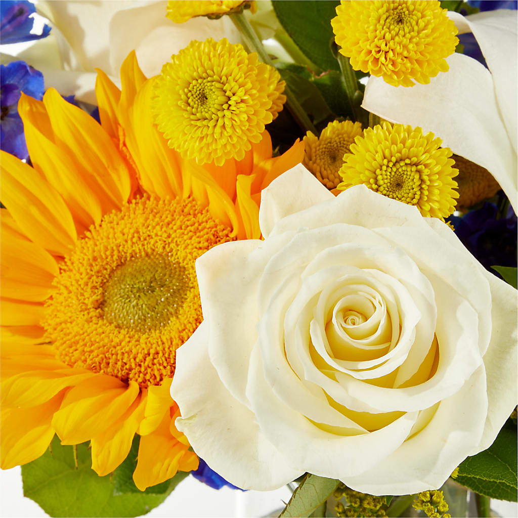 Stargazing Bouquet –  Meramec Florist, Steelville MO