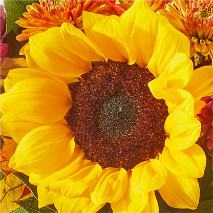 Sunny Side Bouquet –  Meramec Florist, Steelville MO