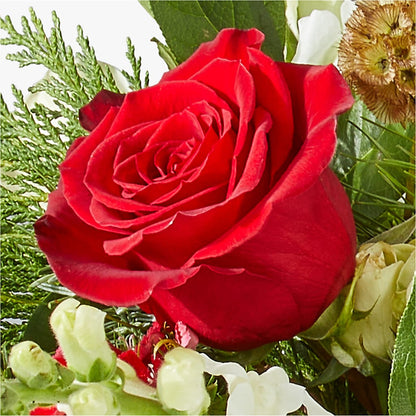 Deck the Halls Bouquet –  Meramec Florist, Steelville MO