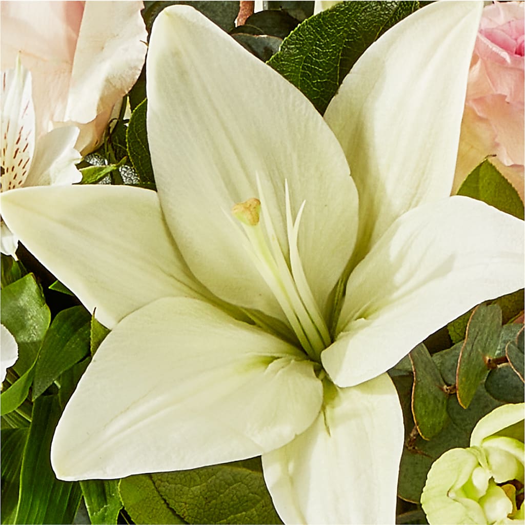 Ballet Slippers Bouquet –  Meramec Florist, Steelville MO