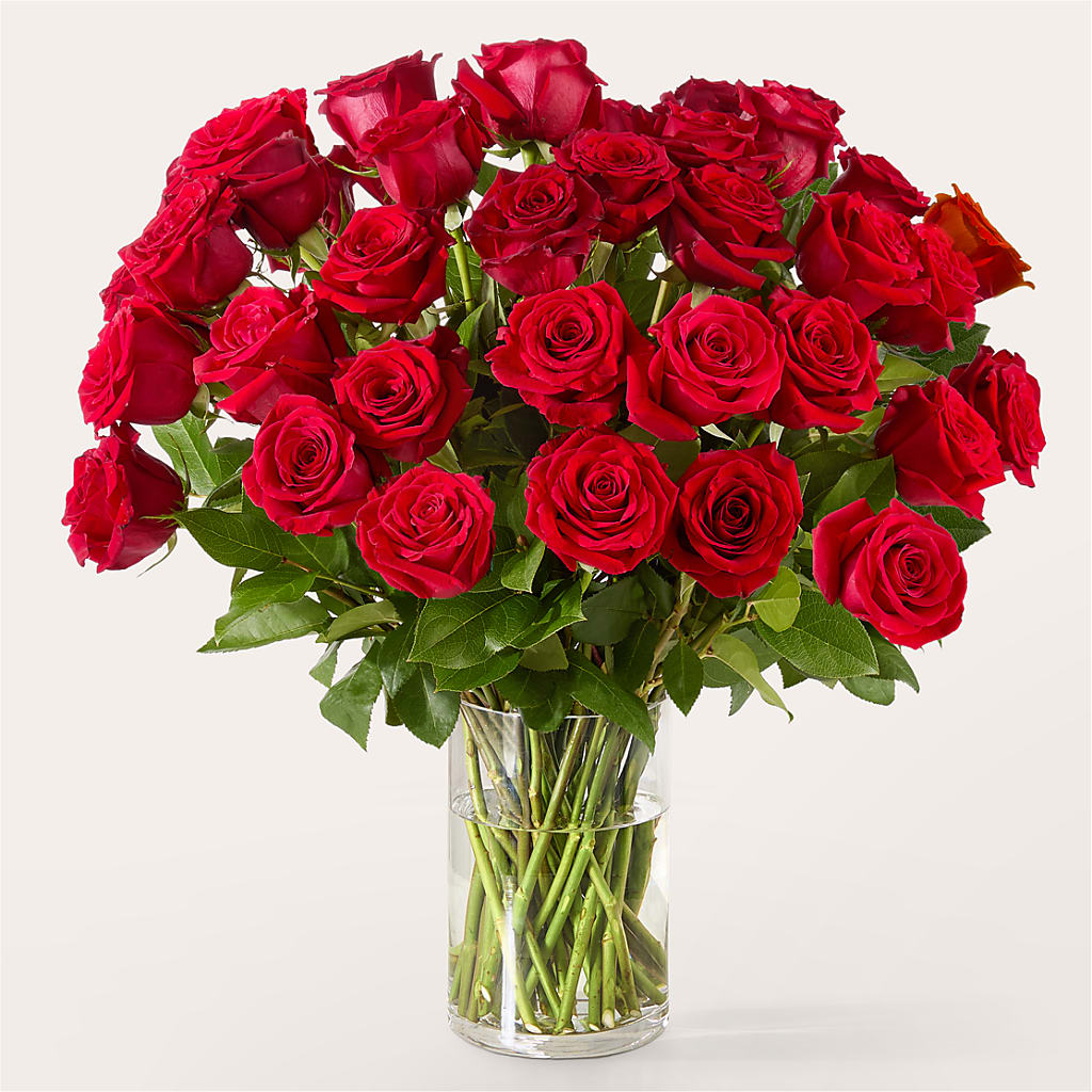 The One Red Rose Bouquet –  Meramec Florist, Steelville MO