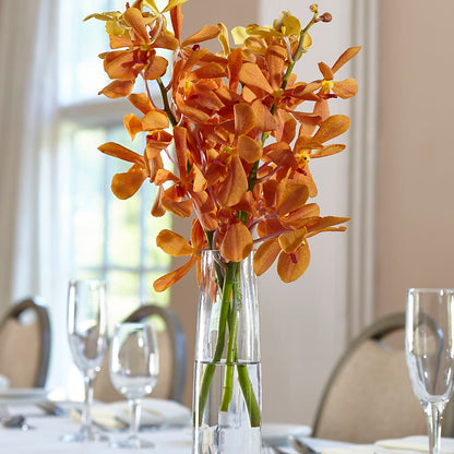Orange Mokara Bud Vase –  Meramec Florist, Steelville MO