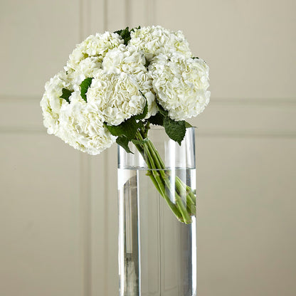 White Hydrangea Hand-Tied Bouquet –  Meramec Florist, Steelville MO