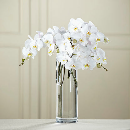 White Phalaenopsis Bouquet –  Meramec Florist, Steelville MO